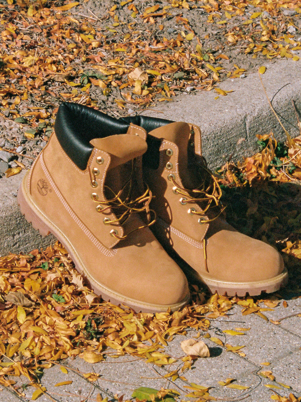 MENS TIMBERLAND ICON 6