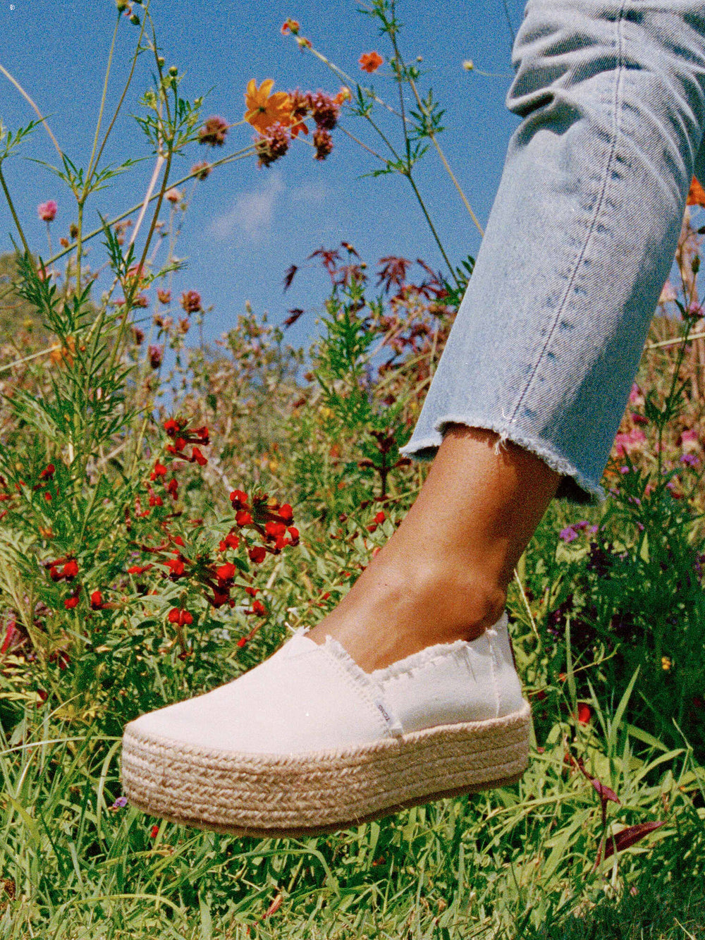 WOMENS TOMS VALENCIA - CLEARANCE